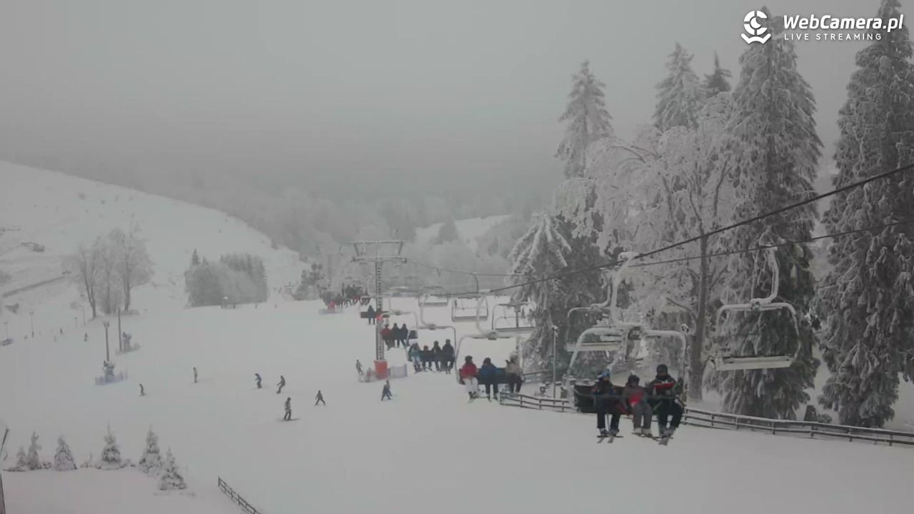 Zieleniec Sport Arena - Mieszko - 03 luty 2026, 15:37