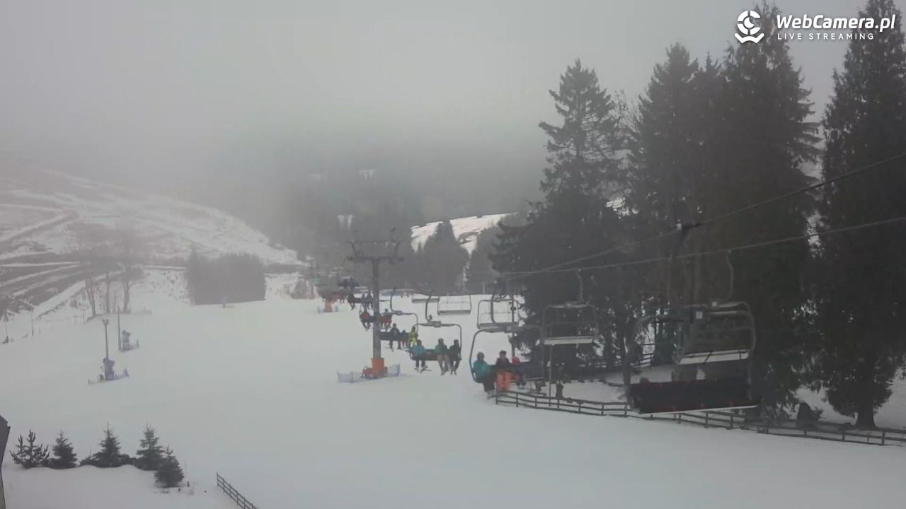 Zieleniec Sport Arena - Mieszko - 26 styczeń 2026, 09:51