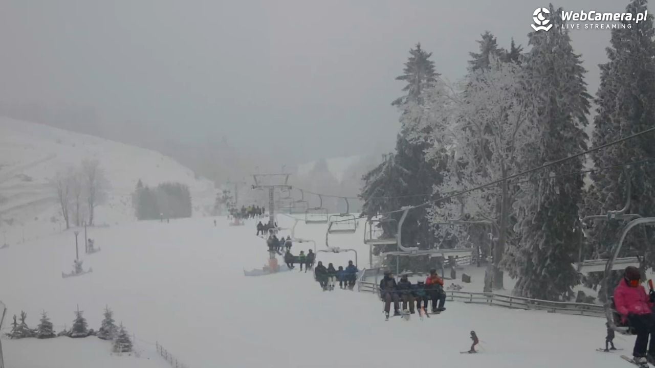 Zieleniec Sport Arena - Mieszko - 29 styczeń 2026, 16:14