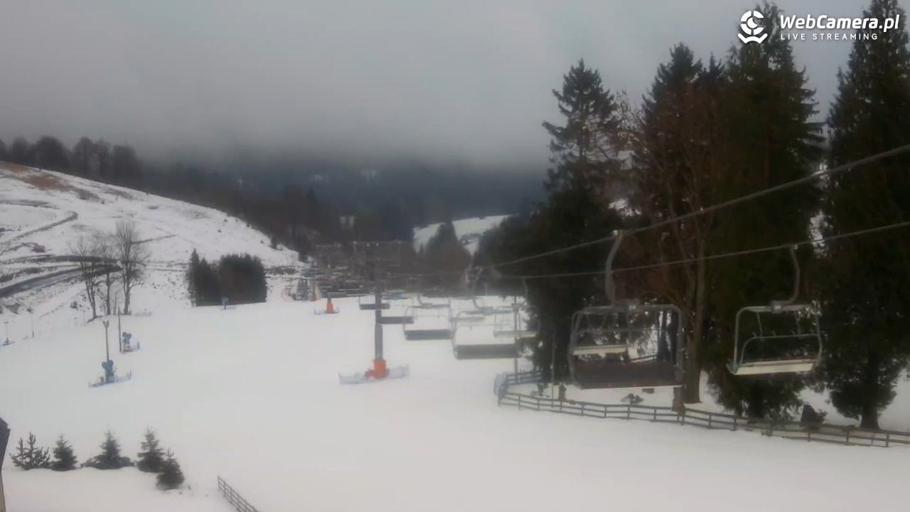 Zieleniec Sport Arena - Mieszko - 17 styczeń 2026, 08:59