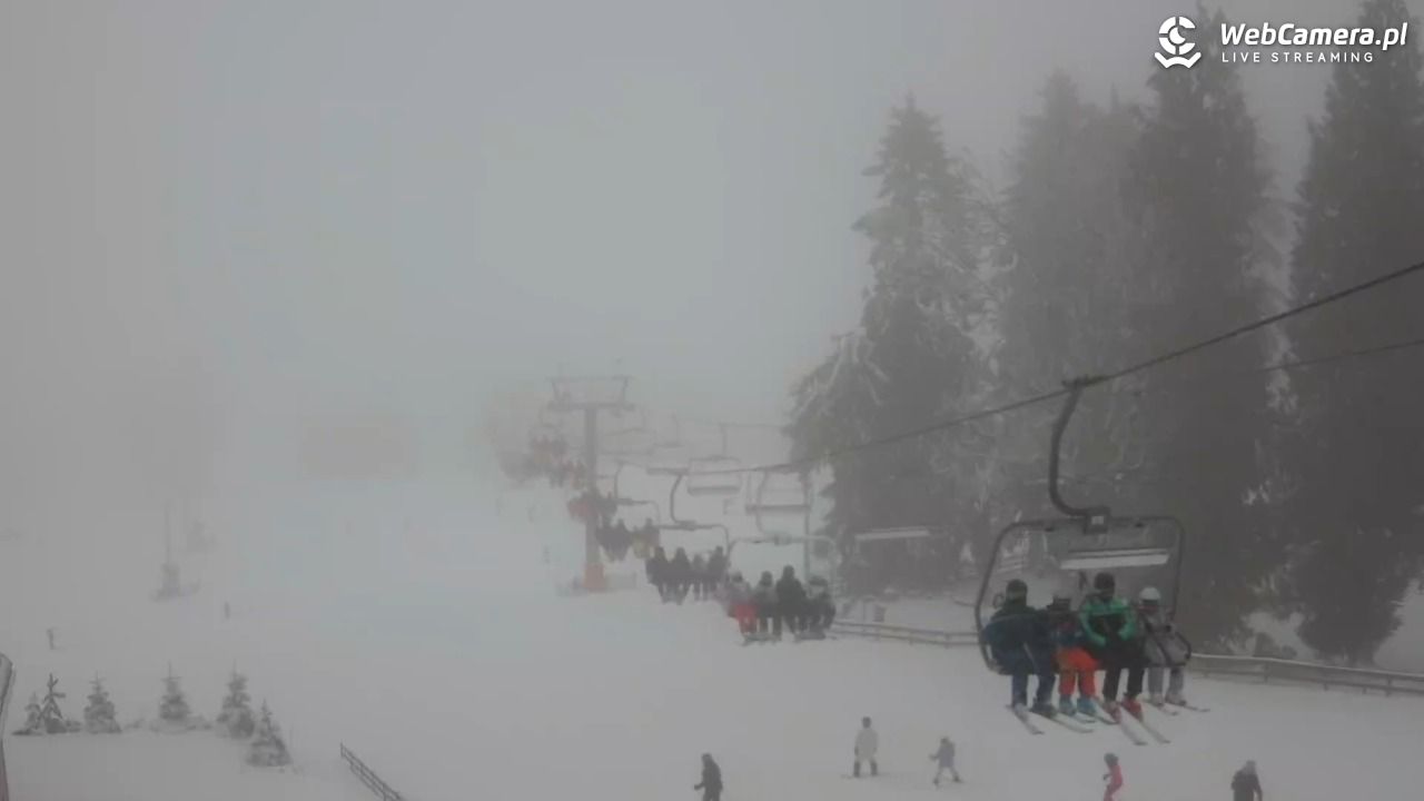 Zieleniec Sport Arena - Mieszko - 21 luty 2026, 10:44