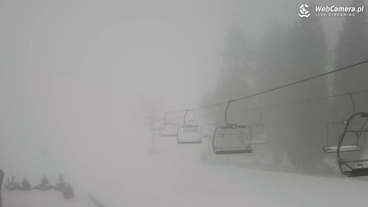 Zieleniec Sport Arena - Mieszko - 07 luty 2026, 07:36