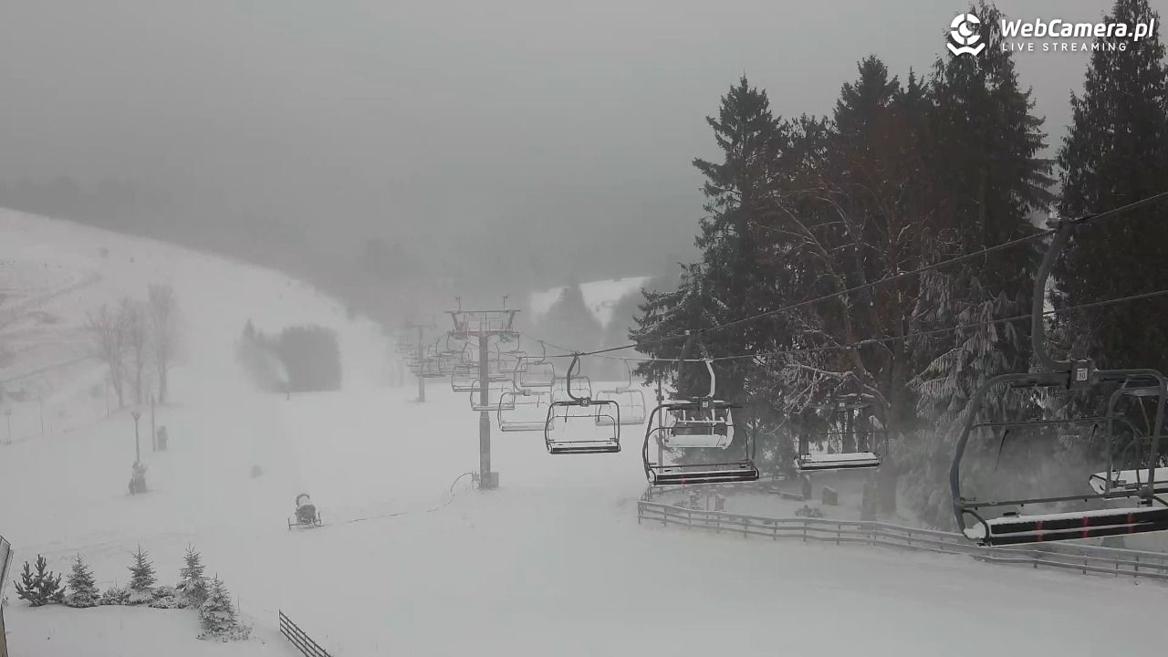 Zieleniec Sport Arena - Mieszko - 24 listopad 2025, 15:09