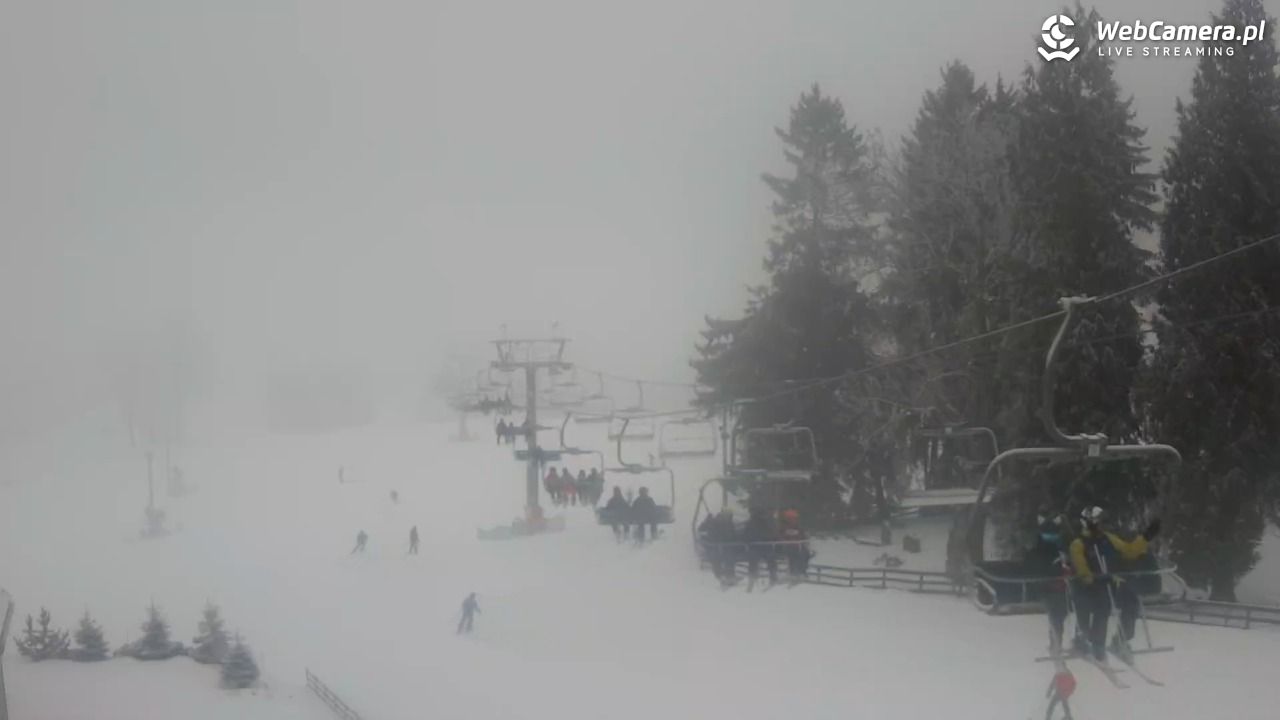 Zieleniec Sport Arena - Mieszko - 24 styczeń 2026, 09:44