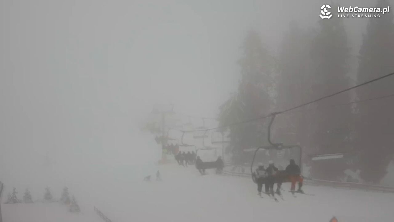 Zieleniec Sport Arena - Mieszko - 21 luty 2026, 13:20