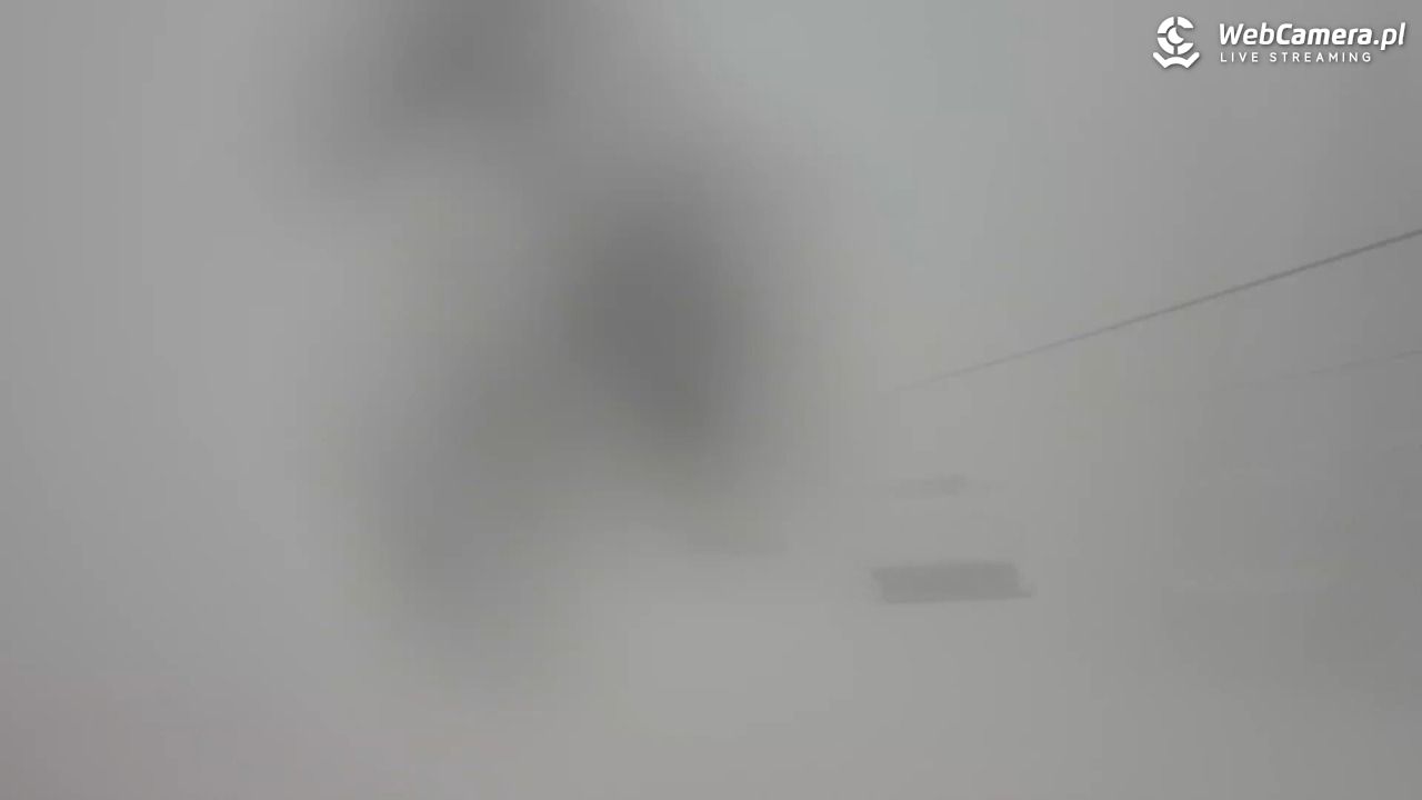 Zieleniec Sport Arena - Mieszko - 31 styczeń 2026, 09:05