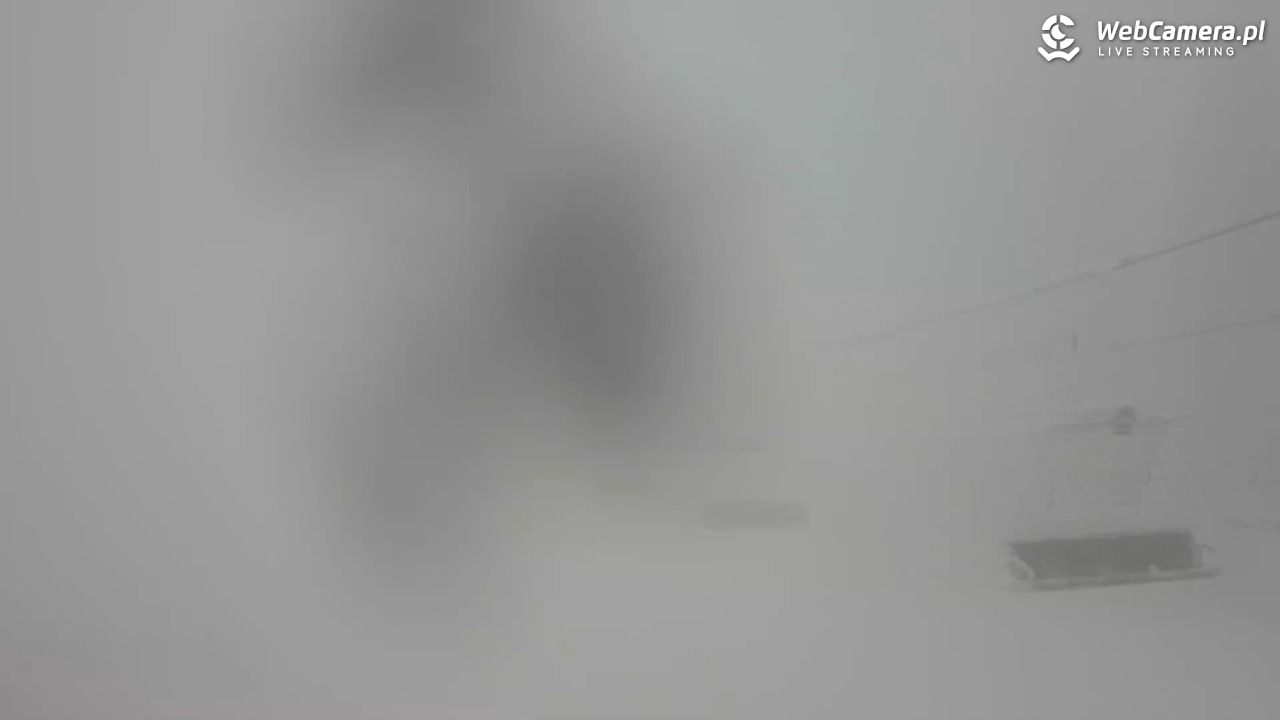 Zieleniec Sport Arena - Mieszko - 31 styczeń 2026, 09:13