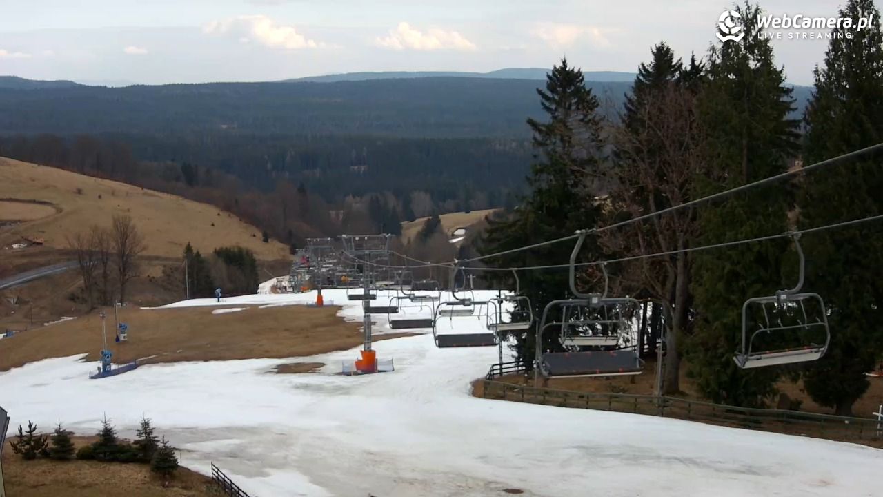 Zieleniec Sport Arena - Mieszko - 22 marzec 2026, 13:49