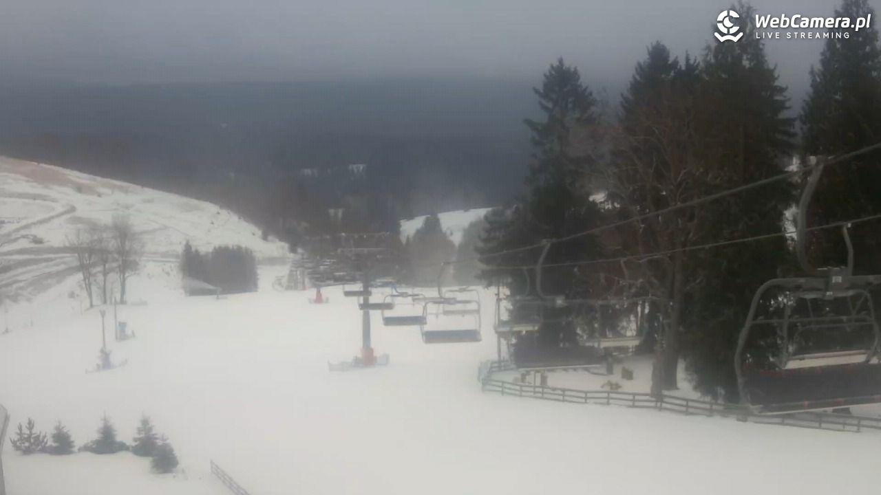 Zieleniec Sport Arena - Mieszko - 23 styczeń 2026, 08:57