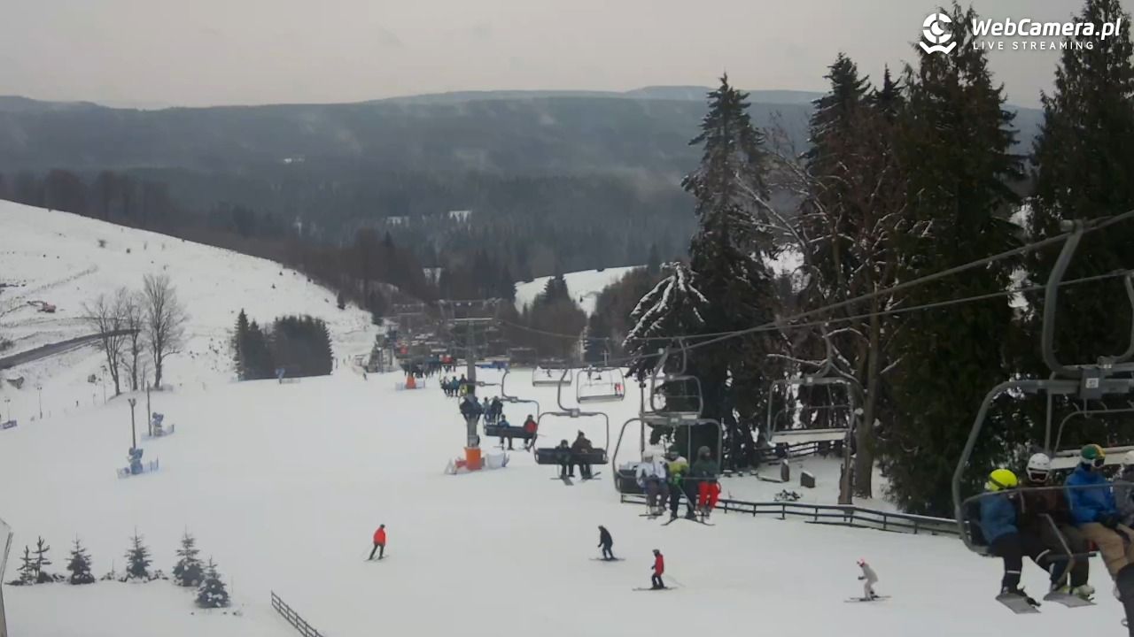 Zieleniec Sport Arena - Mieszko - 05 luty 2026, 10:19