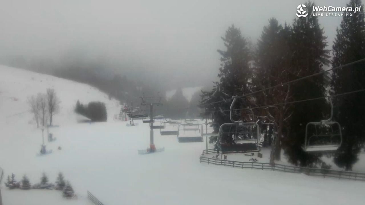 Zieleniec Sport Arena - Mieszko - 31 grudzień 2025, 09:03