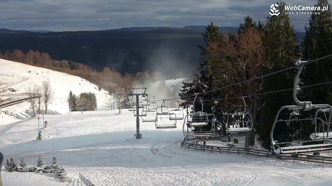 Zieleniec Sport Arena - Mieszko - 22 listopad 2025, 12:30
