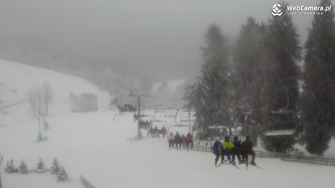 Zieleniec Sport Arena - Mieszko - 01 styczeń 2026, 13:01
