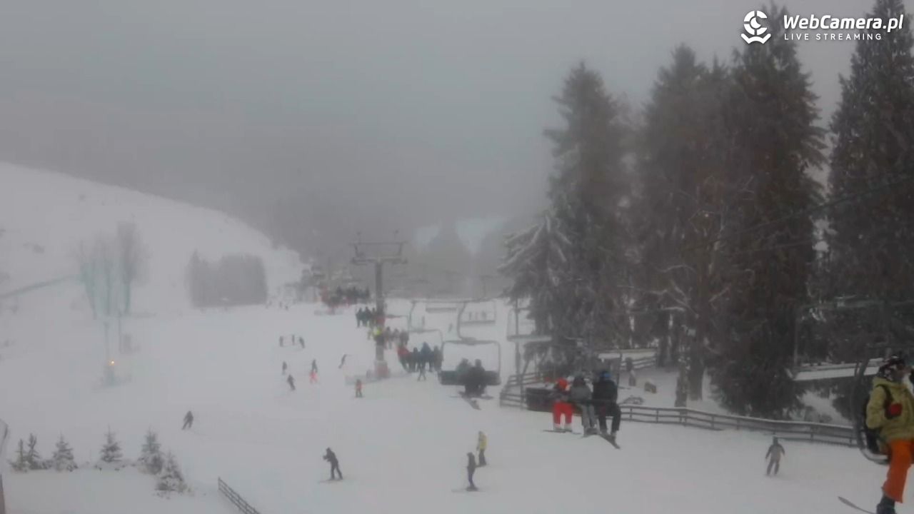 Zieleniec Sport Arena - Mieszko - 02 styczeń 2026, 15:16