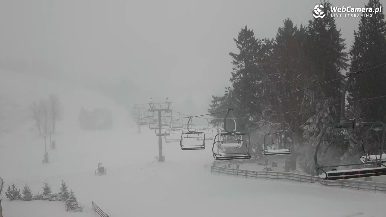 Zieleniec Sport Arena - Mieszko - 24 listopad 2025, 10:41