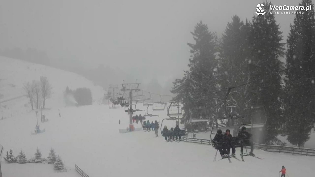 Zieleniec Sport Arena - Mieszko - 31 grudzień 2025, 14:45