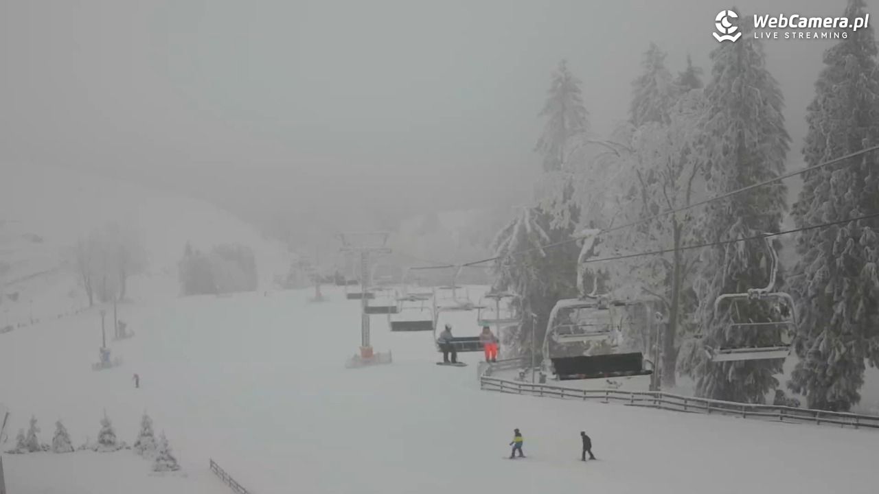 Zieleniec Sport Arena - Mieszko - 03 luty 2026, 09:22