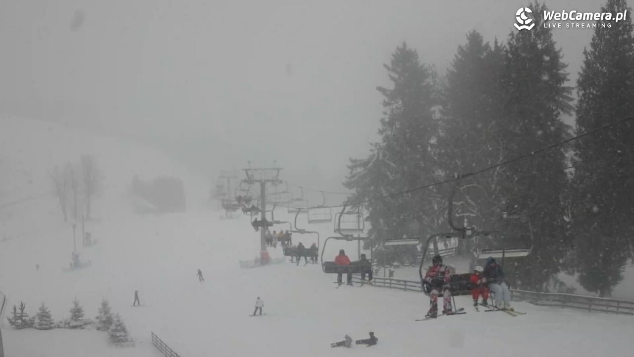 Zieleniec Sport Arena - Mieszko - 31 grudzień 2025, 15:00