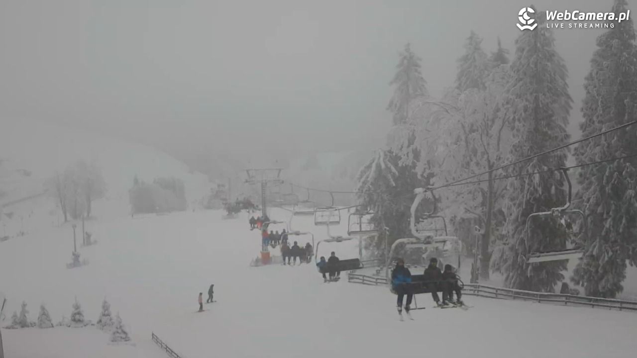 Zieleniec Sport Arena - Mieszko - 03 luty 2026, 16:18