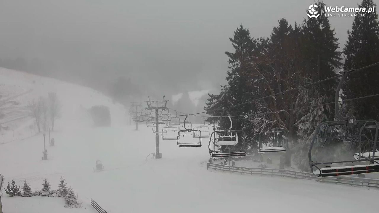 Zieleniec Sport Arena - Mieszko - 24 listopad 2025, 14:51