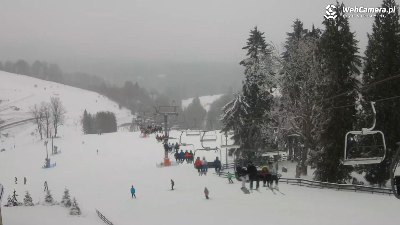 Zieleniec Sport Arena - Mieszko - 21 luty 2026, 11:51