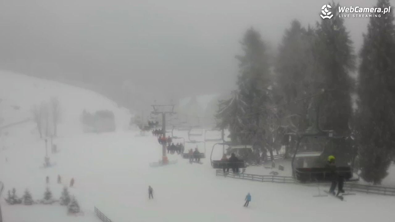 Zieleniec Sport Arena - Mieszko - 01 styczeń 2026, 11:20