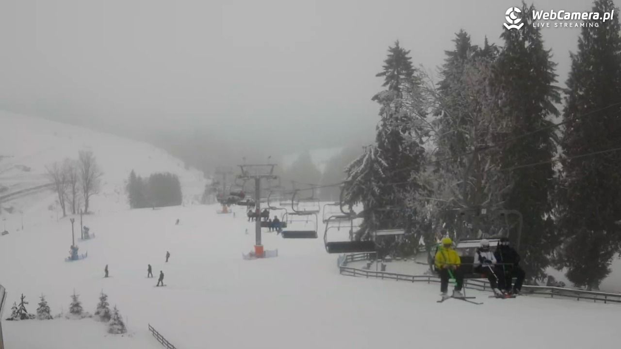 Zieleniec Sport Arena - Mieszko - 21 luty 2026, 09:54