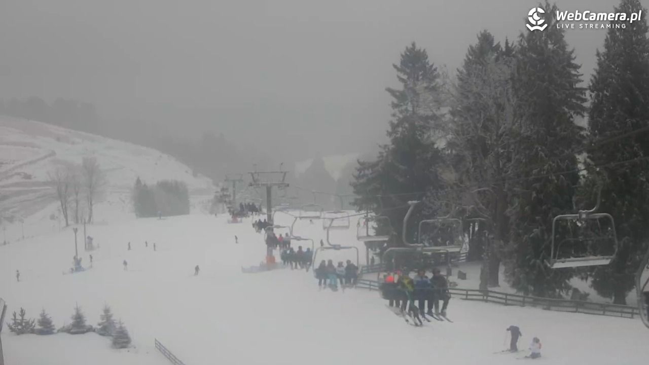 Zieleniec Sport Arena - Mieszko - 24 styczeń 2026, 12:24