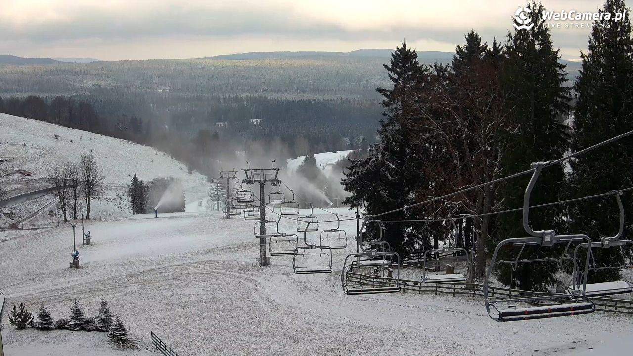 Zieleniec Sport Arena - Mieszko - 18 listopad 2025, 14:26