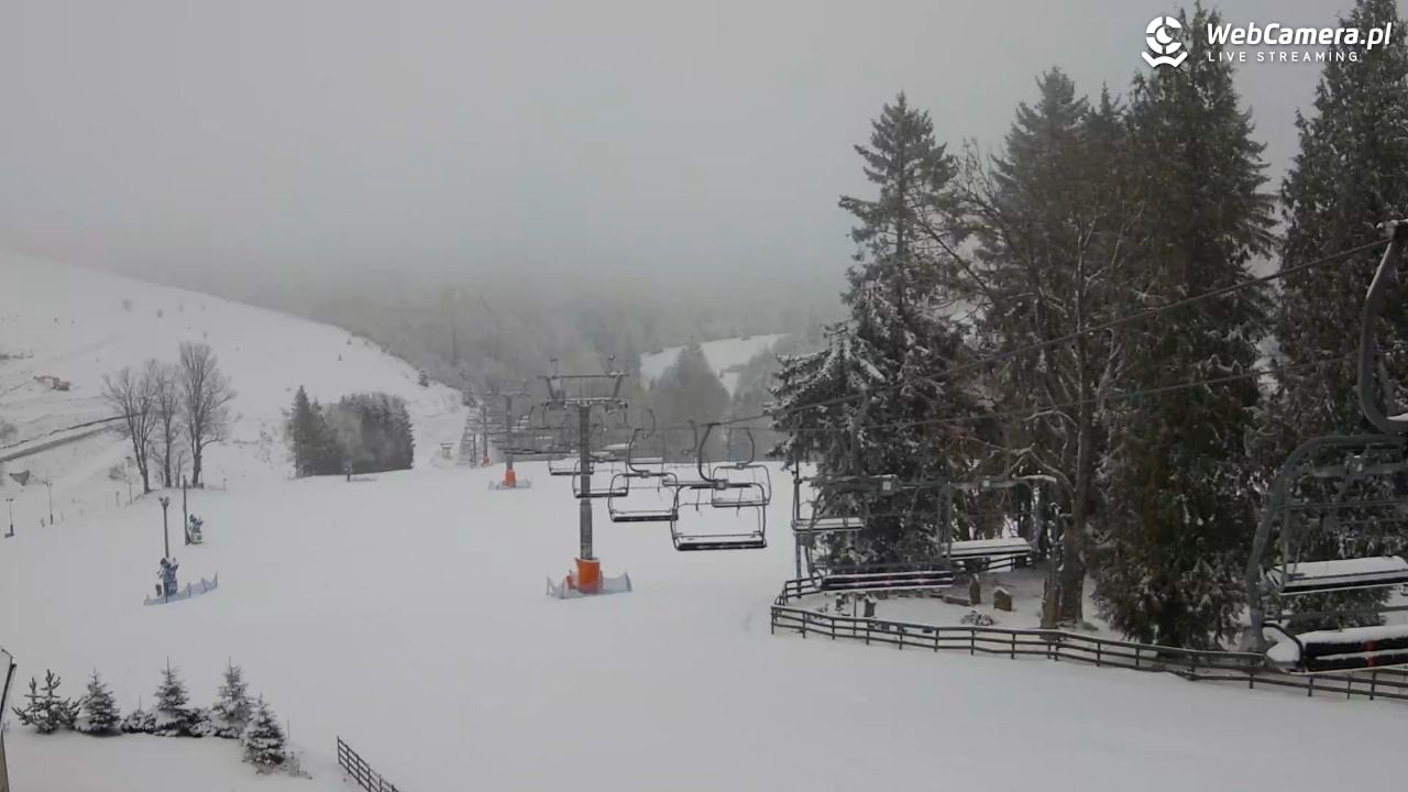 Zieleniec Sport Arena - Mieszko - 29 marzec 2026, 10:25