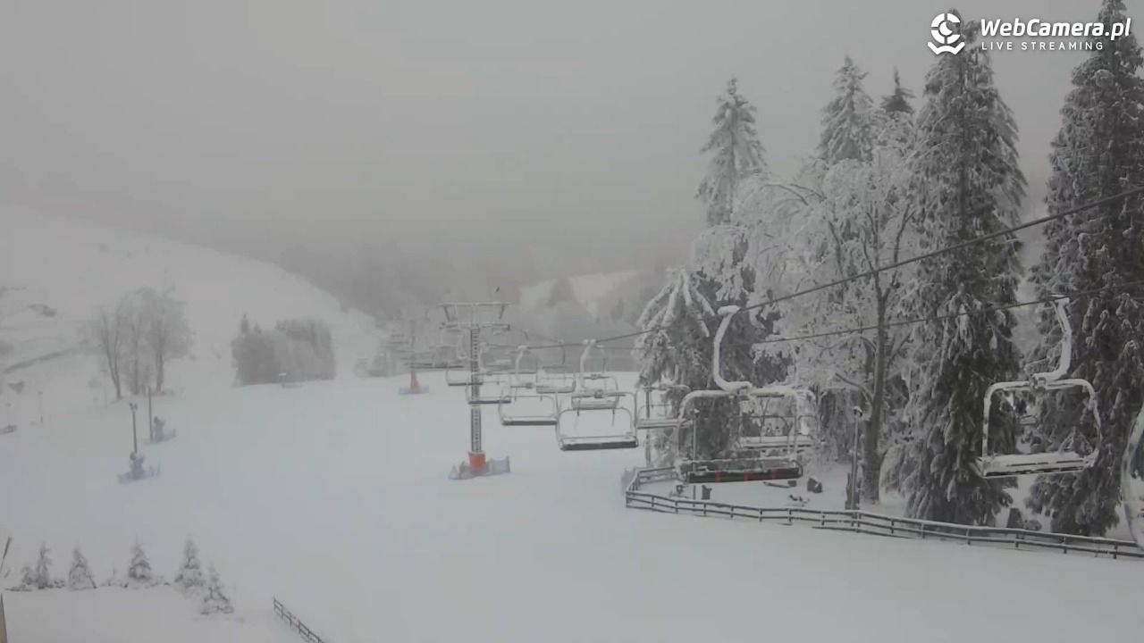 Zieleniec Sport Arena - Mieszko - 04 luty 2026, 07:50