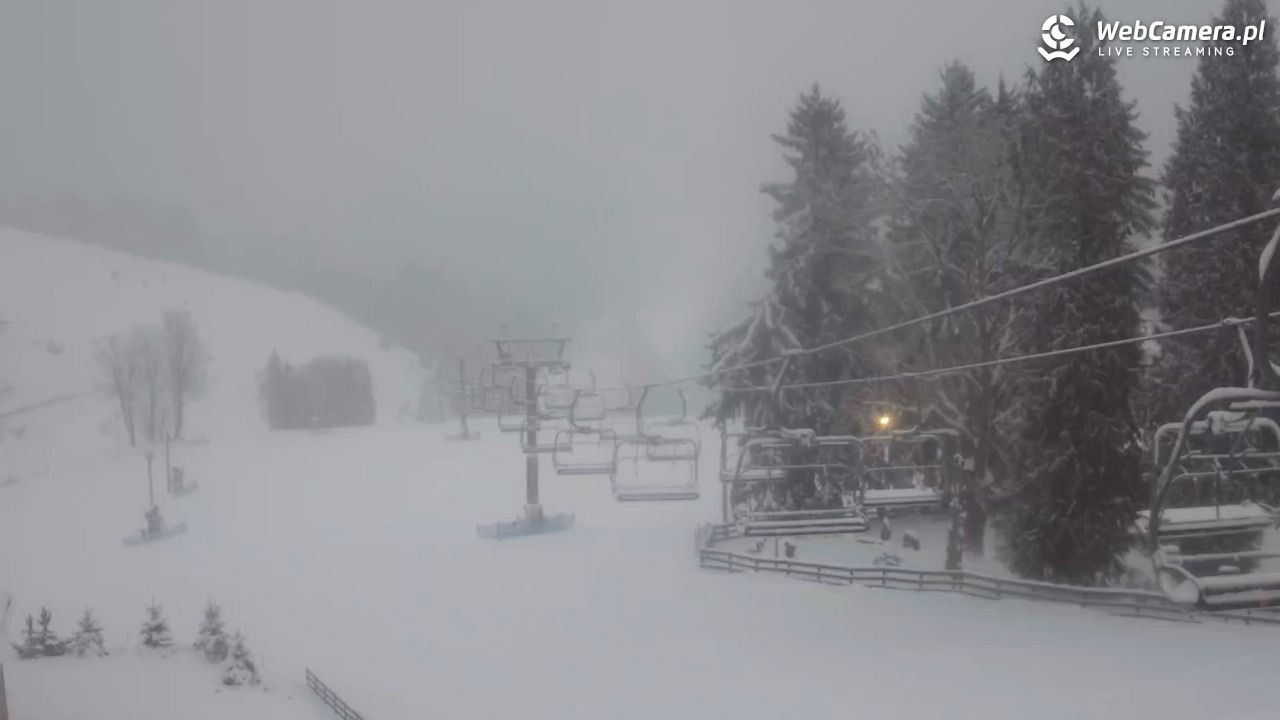 Zieleniec Sport Arena - Mieszko - 10 styczeń 2026, 07:48