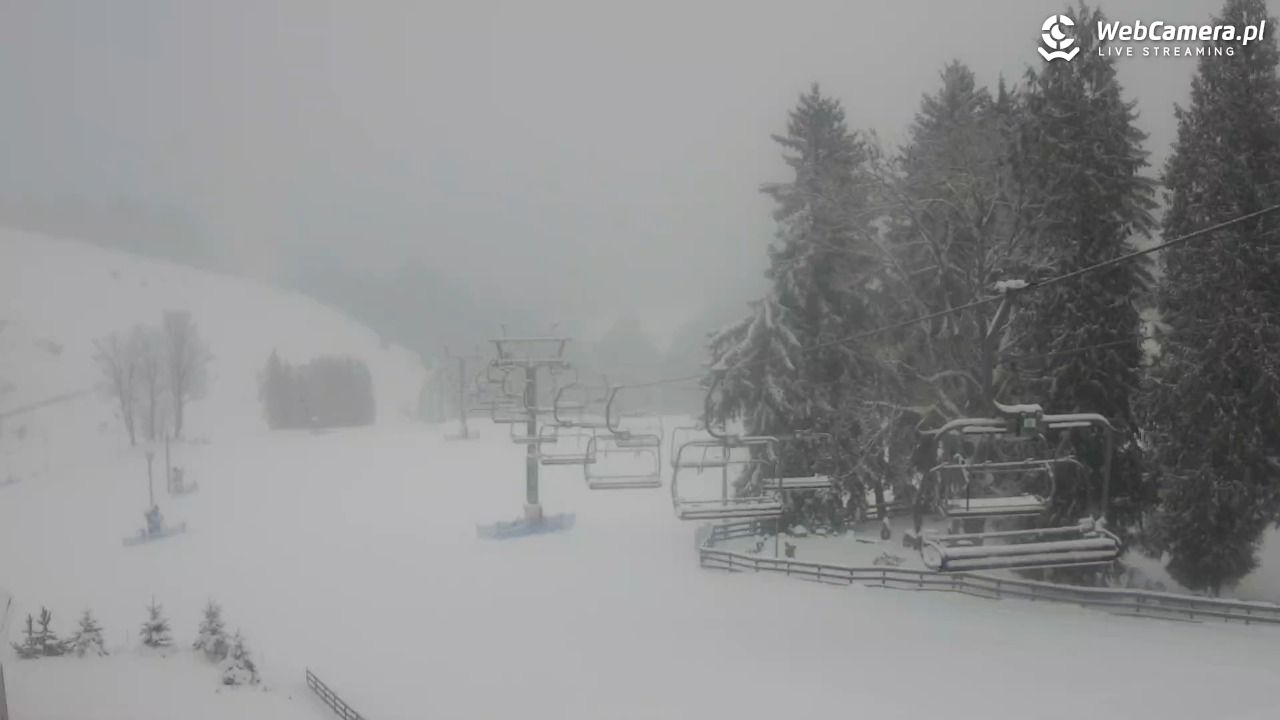 Zieleniec Sport Arena - Mieszko - 10 styczeń 2026, 08:27