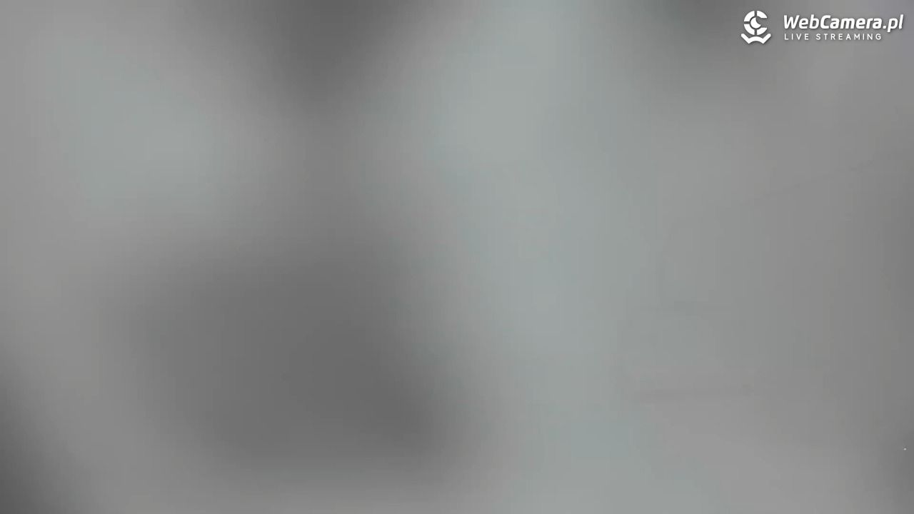 Zieleniec Sport Arena - Mieszko - 24 grudzień 2025, 08:32