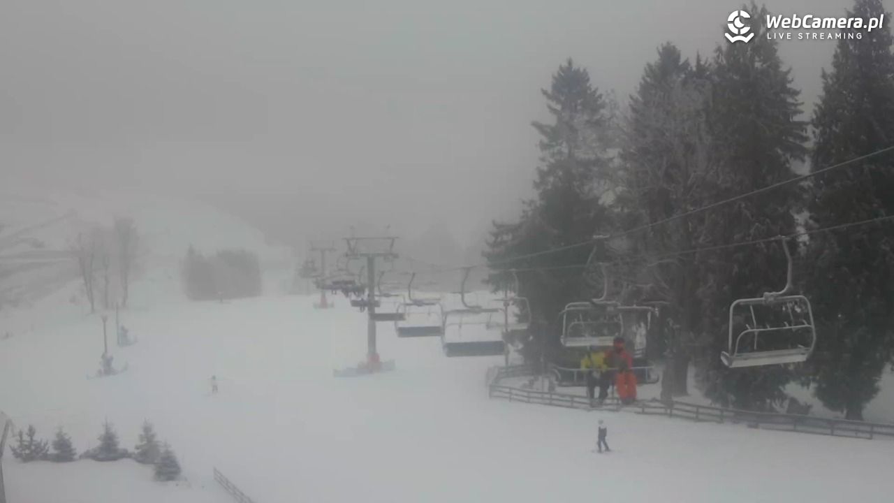 Zieleniec Sport Arena - Mieszko - 24 styczeń 2026, 09:19