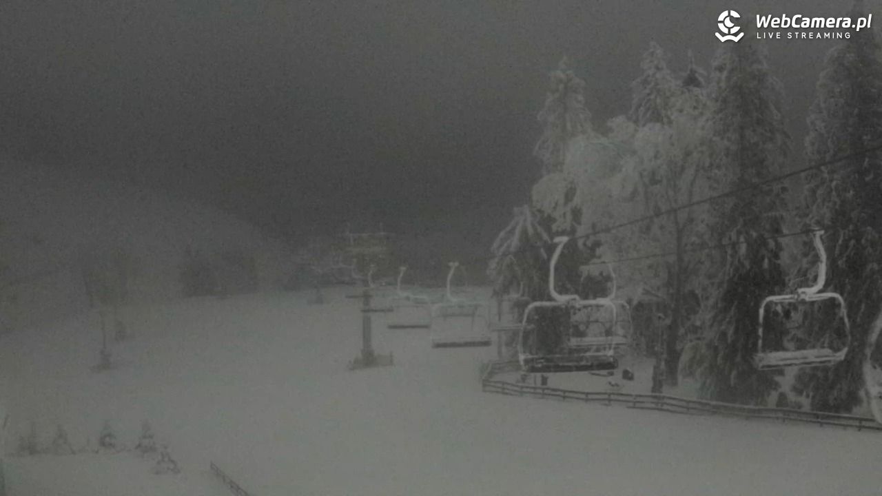 Zieleniec Sport Arena - Mieszko - 04 luty 2026, 00:23