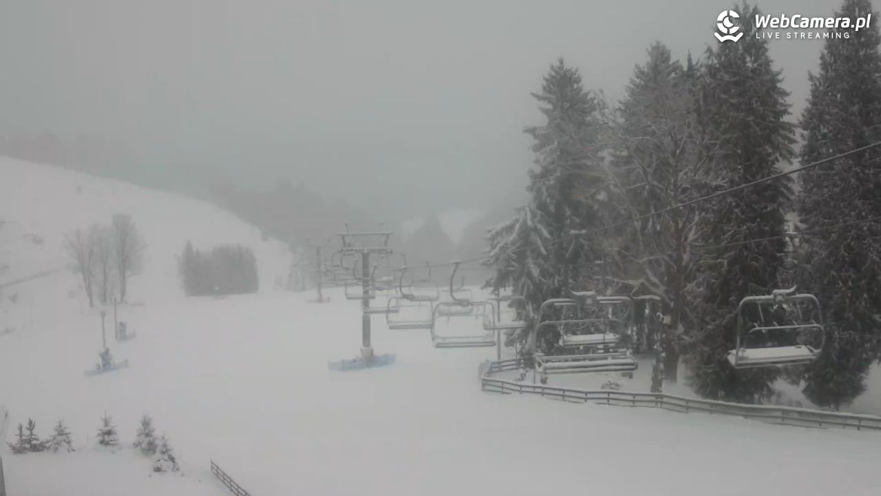 Zieleniec Sport Arena - Mieszko - 10 styczeń 2026, 08:35