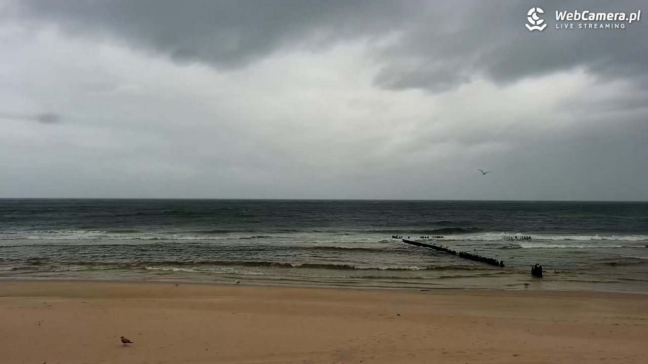 MRZEŻYNO - widok na plażę - 16 wresień 2025, 11:33