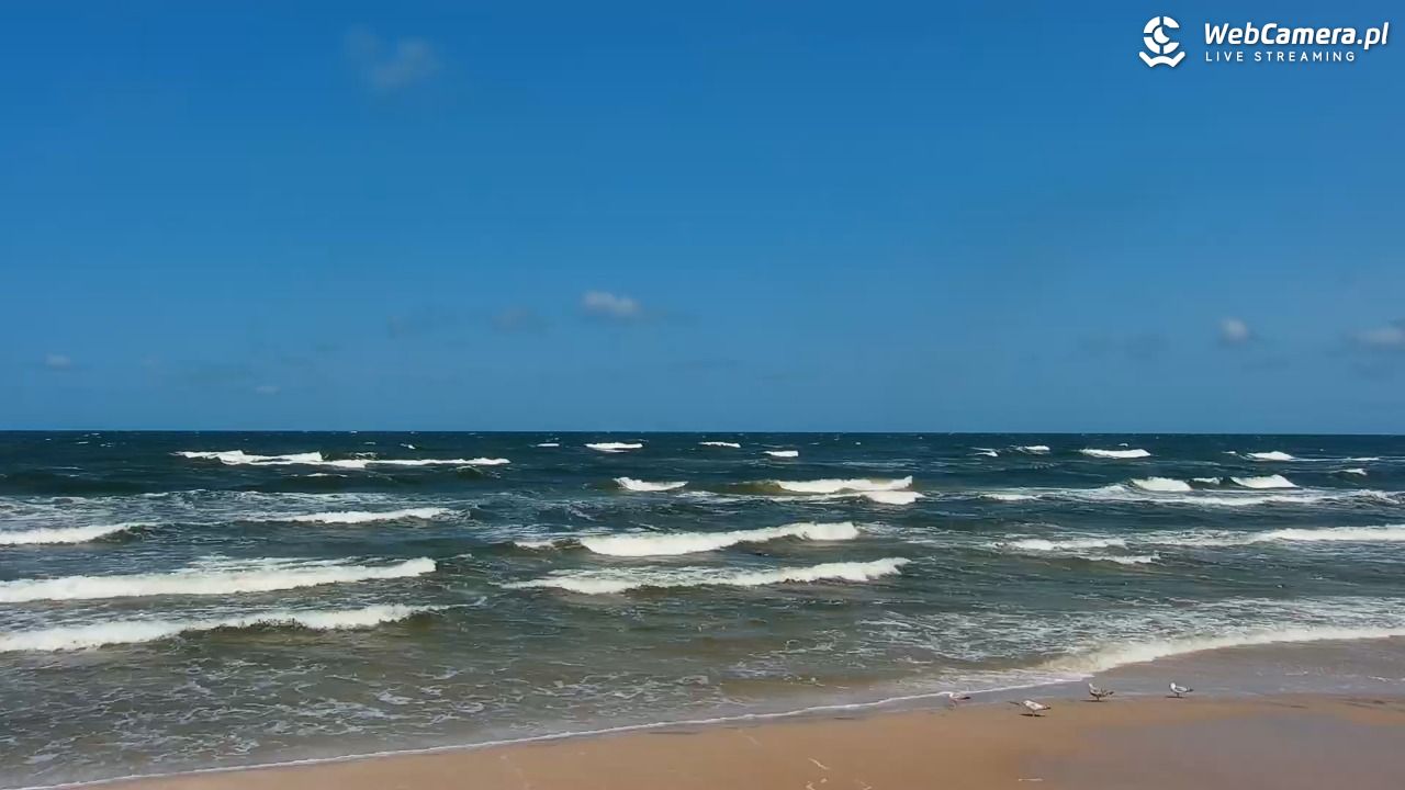MRZEŻYNO - widok na plażę - 11 czerwiec 2025, 12:33