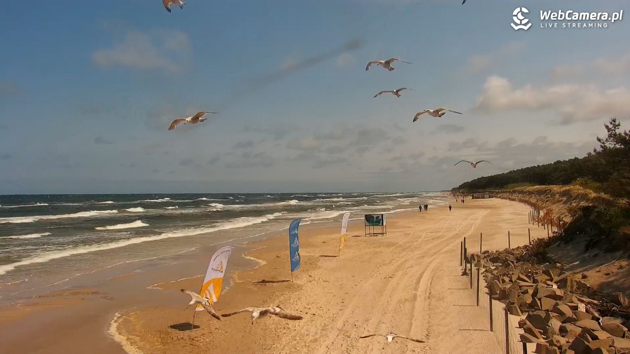 MRZEŻYNO - widok na plażę - 11 czerwiec 2025, 12:16
