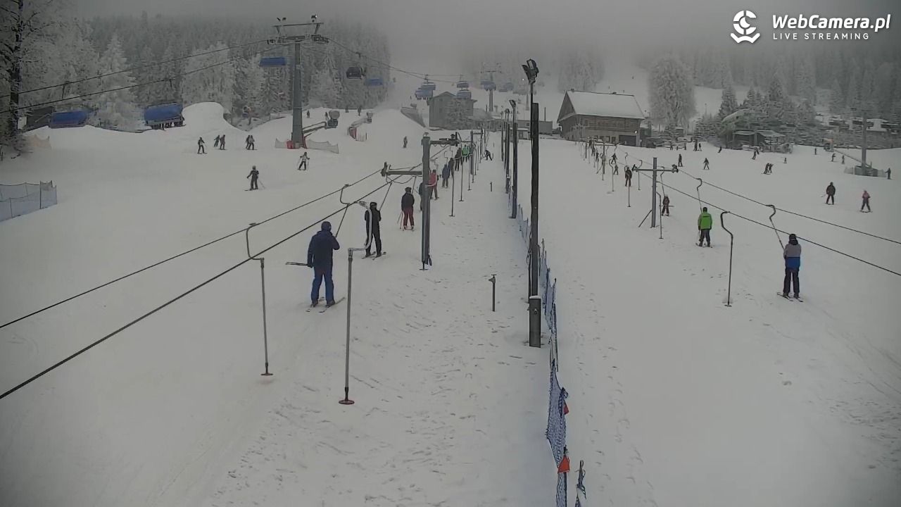 Zieleniec Sport Arena – Nartorama - 29 styczeń 2026, 13:18