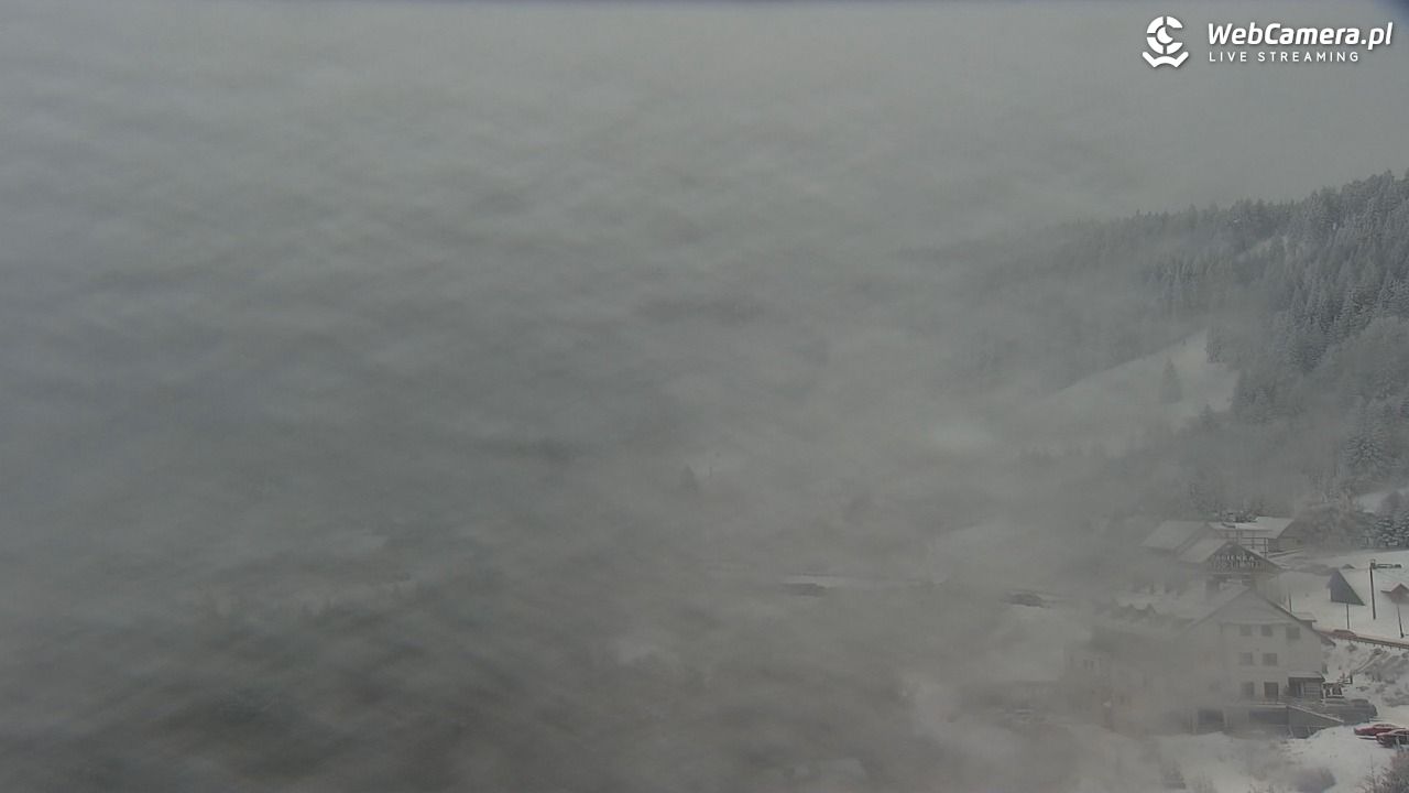 Zieleniec Sport Arena – Nartorama - 16 luty 2026, 11:04