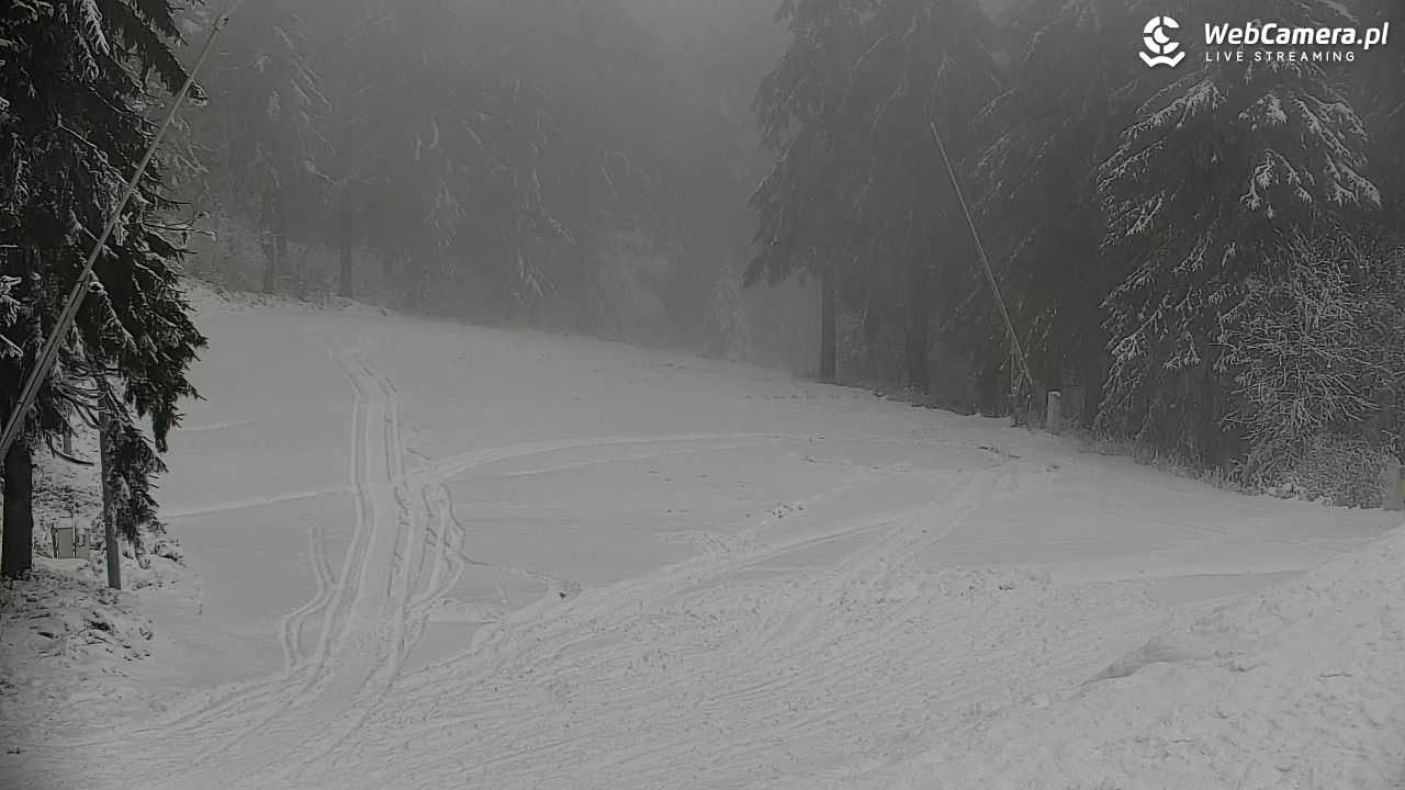 Zieleniec Sport Arena – Nartorama - 29 listopad 2025, 11:39