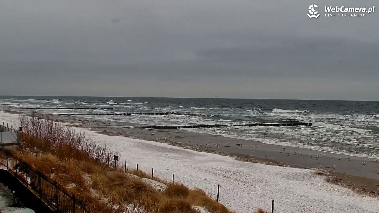 NIECHORZE - widok na plażę i morze - 13 luty 2026, 14:09