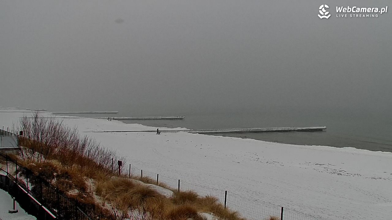 NIECHORZE - widok na plażę i morze - 11 luty 2026, 11:30
