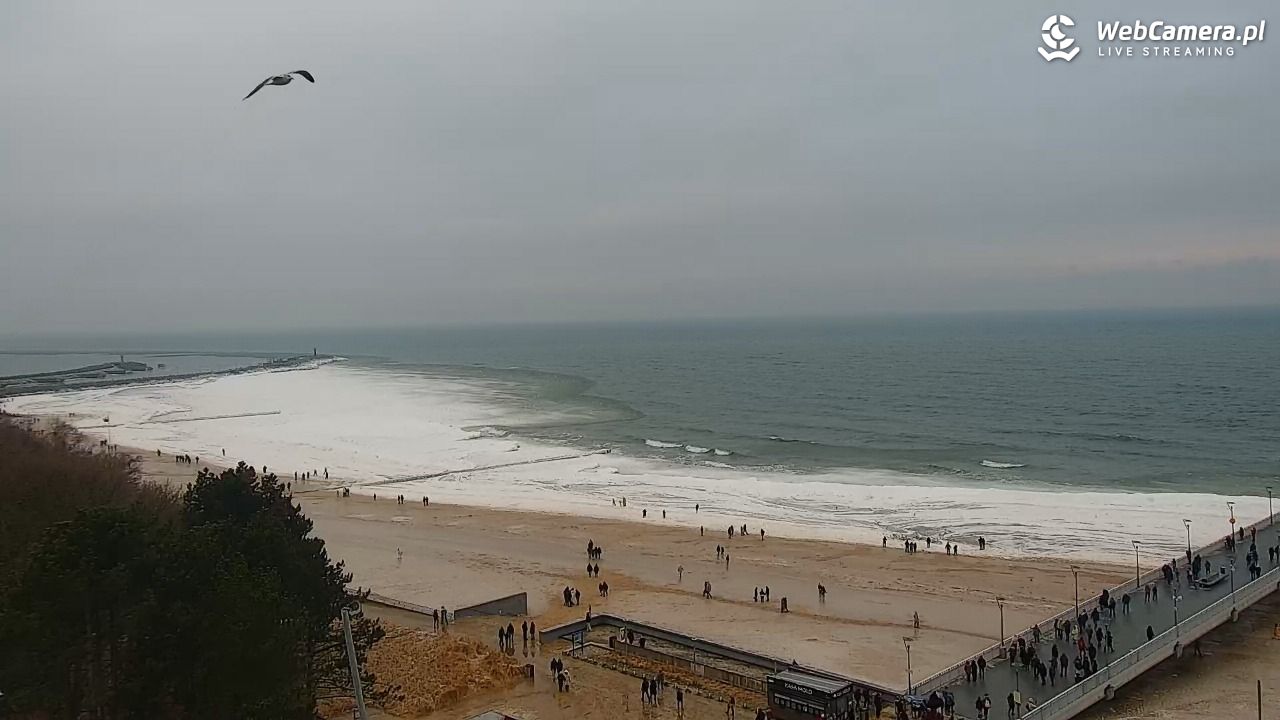 Kołobrzeg - widok na molo - 07 luty 2026, 12:42