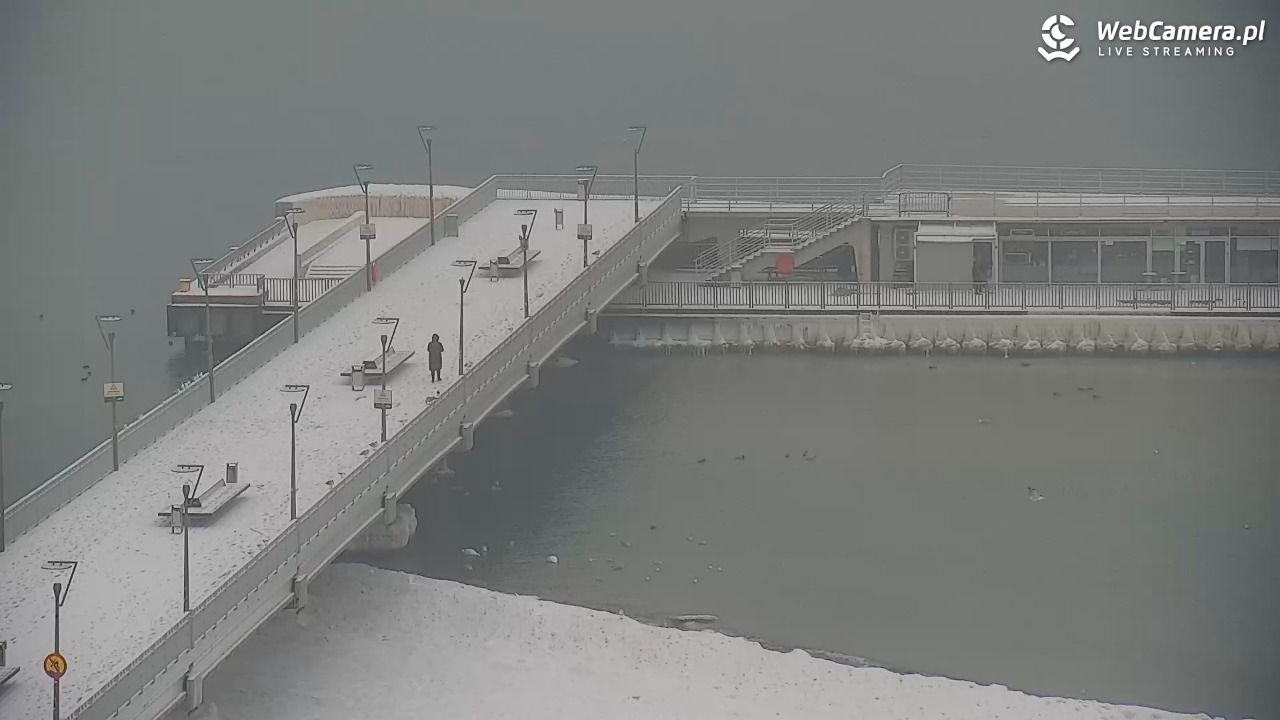 Kołobrzeg - widok na molo - 11 luty 2026, 09:23