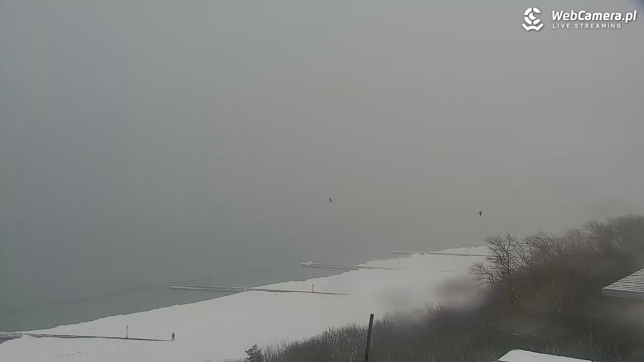 Kołobrzeg - widok na molo - 11 luty 2026, 09:55
