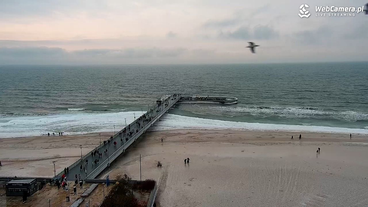 Kołobrzeg - widok na molo - 07 luty 2026, 16:26