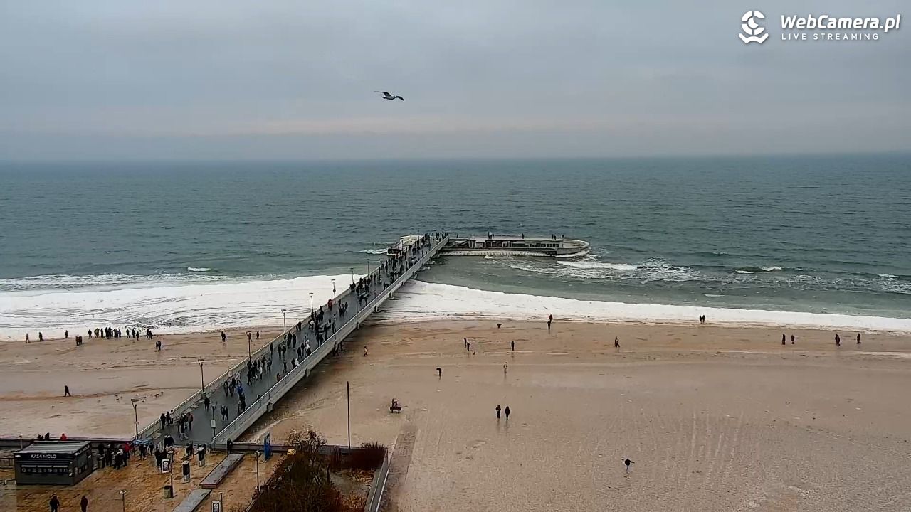 Kołobrzeg - widok na molo - 07 luty 2026, 12:50